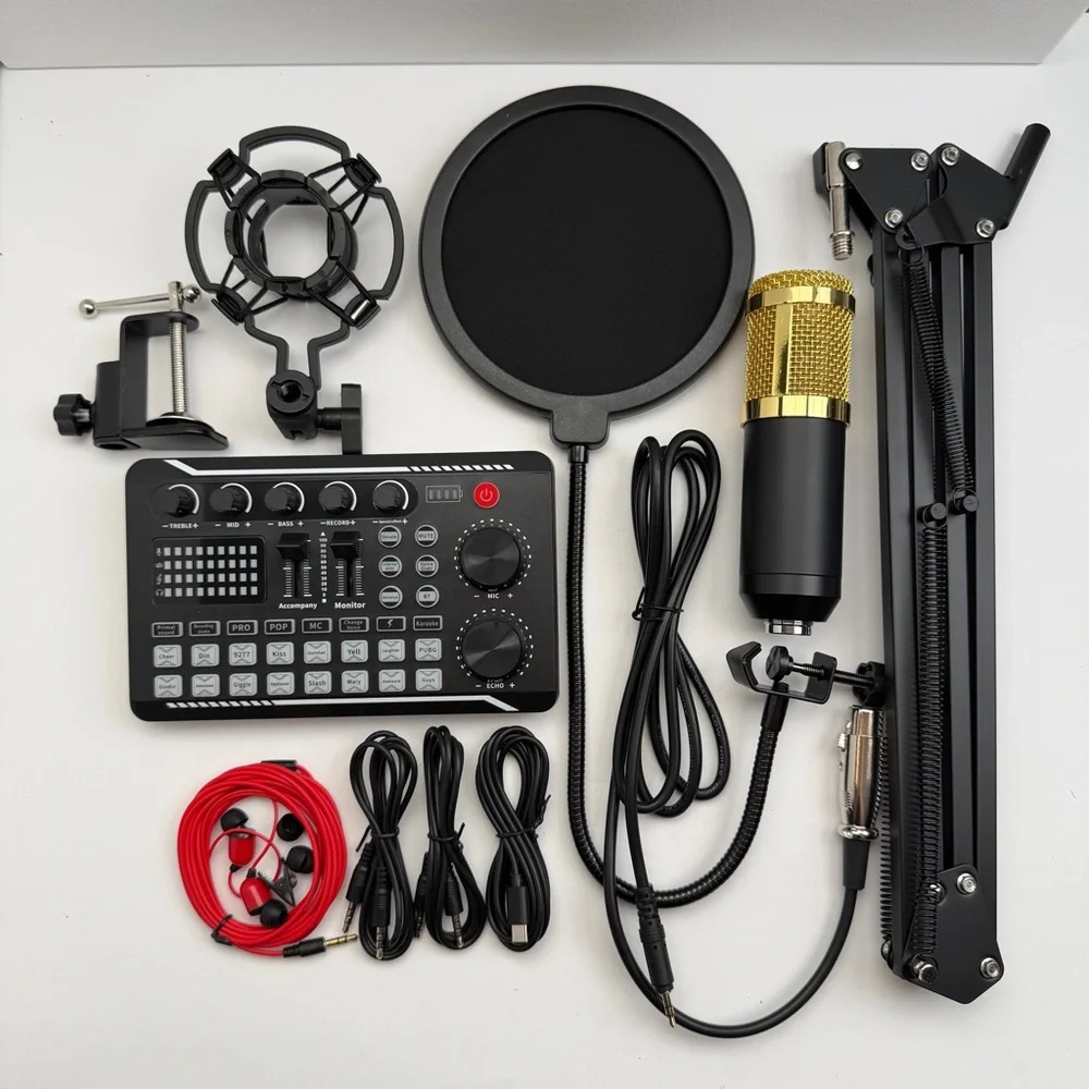 Professional Silver Condenser Microphone